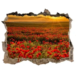 naklejka-fototapeta-3d-widok-pole-makow-168x113