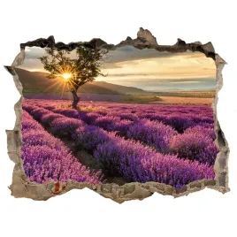 naklejka-fototapeta-3d-widok-pole-lawendy-168x113