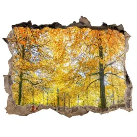 naklejka-fototapeta-3d-widok-las-jesienia-168x113