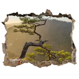 naklejka-fototapeta-3d-widok-sokolica-pieniny
