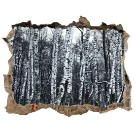 naklejka-fototapeta-3d-widok-brzozy-zima-168x113