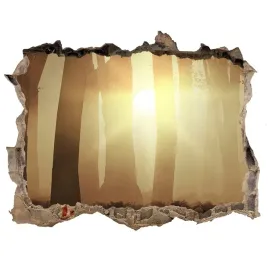 naklejka-fototapeta-3d-widok-mgla-w-lesie-168x113