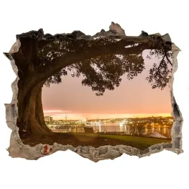 naklejka-fototapeta-3d-na-sciane-stare-drzewo