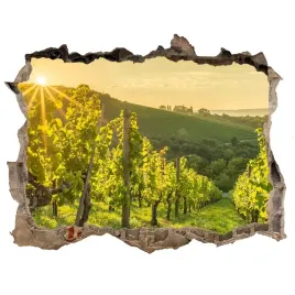 naklejka-fototapeta-3d-widok-cegla-winnica-168x113