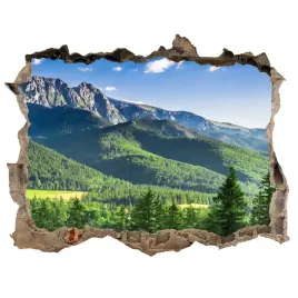 naklejka-fototapeta-na-sciane-skocznia-w-tatrach