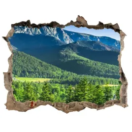naklejka-fototapeta-3d-skocznia-w-tatrach-168x113
