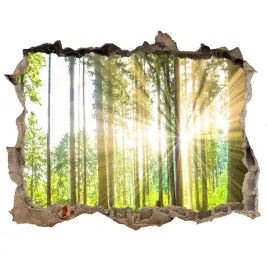 naklejka-fototapeta-3d-na-sciane-las-w-sloncu