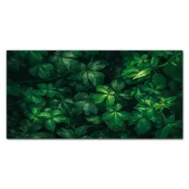 foto-obraz-szklany-kwiatowy-liscie-lisc-120x60-cm