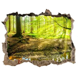 naklejka-fototapeta-3d-na-sciane-sadzawka-w-lesie