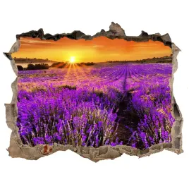 naklejka-fototapeta-3d-widok-pole-lawendy-168x113