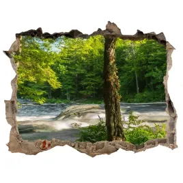 naklejka-fototapeta-3d-widok-rzeka-w-lesie-168x113