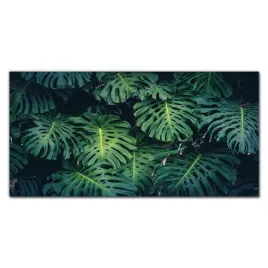 obraz-szklany-z-nadrukiem-kwiat-lisc-120x60-cm