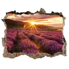 naklejka-fototapeta-3d-widok-pole-lawendy-168x113