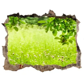naklejka-fototapeta-3d-widok-zielona-laka-168x113