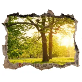 naklejka-okleina-3d-widok-drzewa-w-parku-168x113