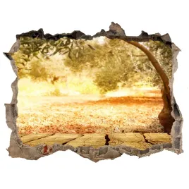 naklejka-fototapeta-3d-widok-drzewo-oliwne-168x113