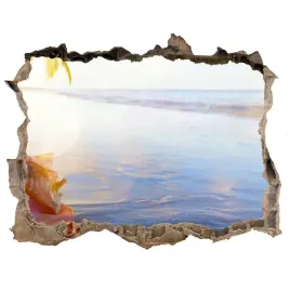 naklejka-okleina-3d-widok-muszla-na-plazy-168x113