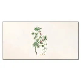 szklo-hartowane-do-kuchni-oddzial-roslin-140x70-cm