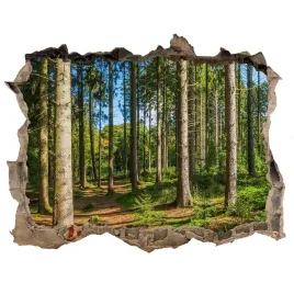 naklejka-fototapeta-3d-widok-panorama-lasu-168x113