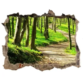 naklejka-okleina-3d-widok-sciezka-w-lesie-168x113