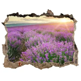 naklejka-fototapeta-3d-widok-pole-lawendy-168x113