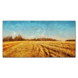foto-obraz-na-ramie-plotno-wies-pole-las-100x50-cm