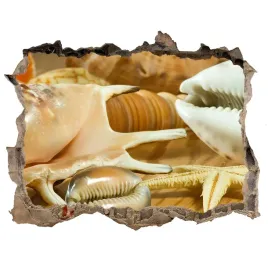 samoprzylepna-dziura-na-sciane-muszle-na-drewnie