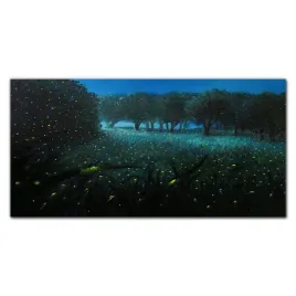 foto-obraz-szklany-las-noc-swietliki-120x60-cm