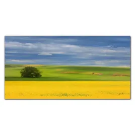 foto-obraz-szklany-kwiaty-wzgorze-niebo-120x60-cm