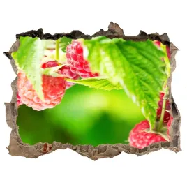 samoprzylepna-naklejka-na-sciane-maliny-w-ogrodzie