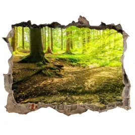 samoprzylepna-naklejka-promyki-slonca-las-168x113