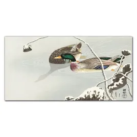 foto-obraz-szklany-zwierzeta-ptaki-woda-120x60-cm