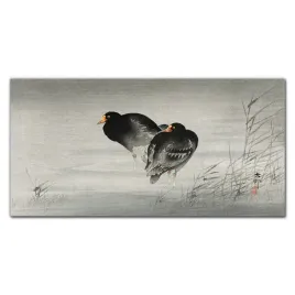 foto-obraz-szklany-zwierzeta-ptaki-woda-120x60-cm