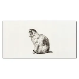 foto-obraz-szklany-na-sciane-zwierze-kot-120x60-cm
