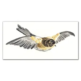 obraz-szklany-na-sciane-zwierze-ptak-120x60-cm