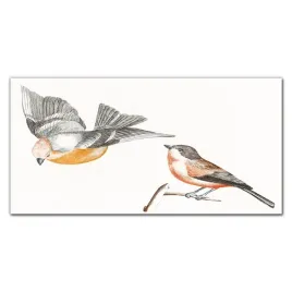 foto-obraz-szklany-zwierze-ptak-galaz-120x60-cm