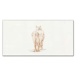 foto-obraz-szklany-na-sciane-zwierze-kon-120x60-cm