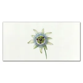 obraz-na-sciane-szklany-kwiaty-roslina-120x60-cm