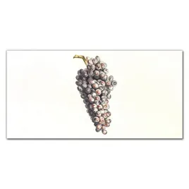foto-obraz-na-sciane-szklo-owoce-winogrona-120x60