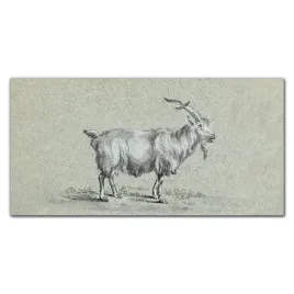 obraz-na-sciane-szklany-zwierze-koza-120x60-cm