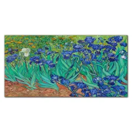 obraz-szklany-z-nadrukiem-irysy-van-gogh-120x60-cm