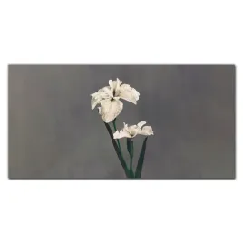 foto-obraz-szklany-na-sciane-kwiaty-rosliny-120x60