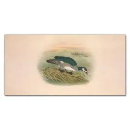 panel-kuchenny-laminowany-ptak-rysunek-140x70-cm
