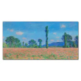 foto-obraz-szklany-laki-krajobraz-monet-120x60-cm