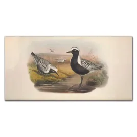 kuchnia-panele-szklane-ptaki-zwierzeta-140x70-cm