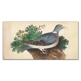 panele-do-kuchni-ptaki-dzikie-zwierzeta-140x70-cm