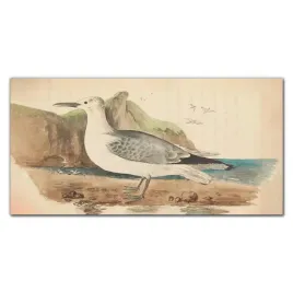panel-kuchenny-laminowany-ptak-rysunek-140x70-cm