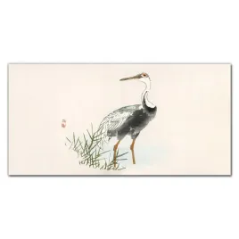 scienny-fotoobraz-na-plotnie-zwierze-ptak-100x50