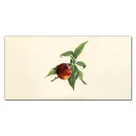 obraz-na-ramie-plotno-owoce-galaz-liscie-100x50-cm