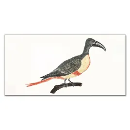 obraz-na-ramie-plotno-zwierze-ptak-galaz-100x50-cm